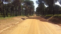 /album/a12-04-punta-umbria/a20150413-115659-jpg/