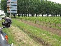 /album/a10-05-05-saint-palais-sur-mer/img-0014-jpg2/