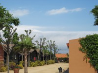 /album/a10-05-05-saint-palais-sur-mer/img-002201-jpg/